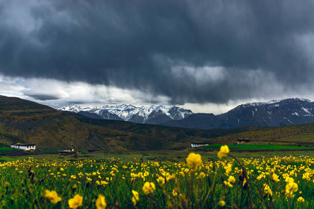 A beautiful day with flowers and mountain